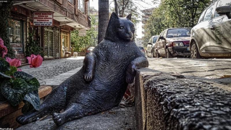 dịch vụ seo - minh họa 1