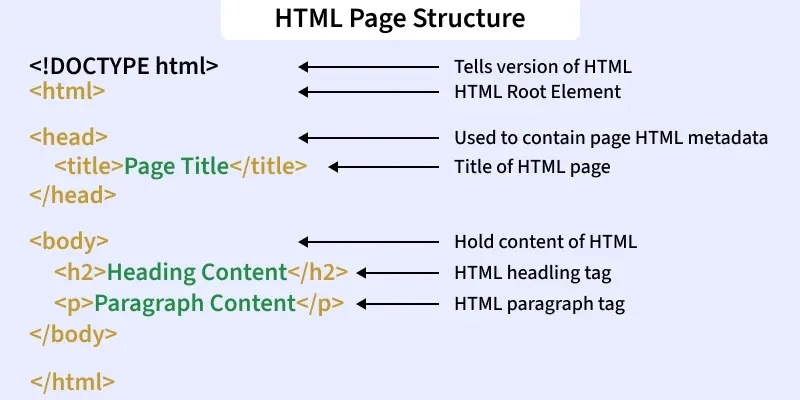 HTML file structure code anatomy beginner - cấu trúc cơ bản của một file html: giải phẫu từng dòng code 2026 - keymarketing.t